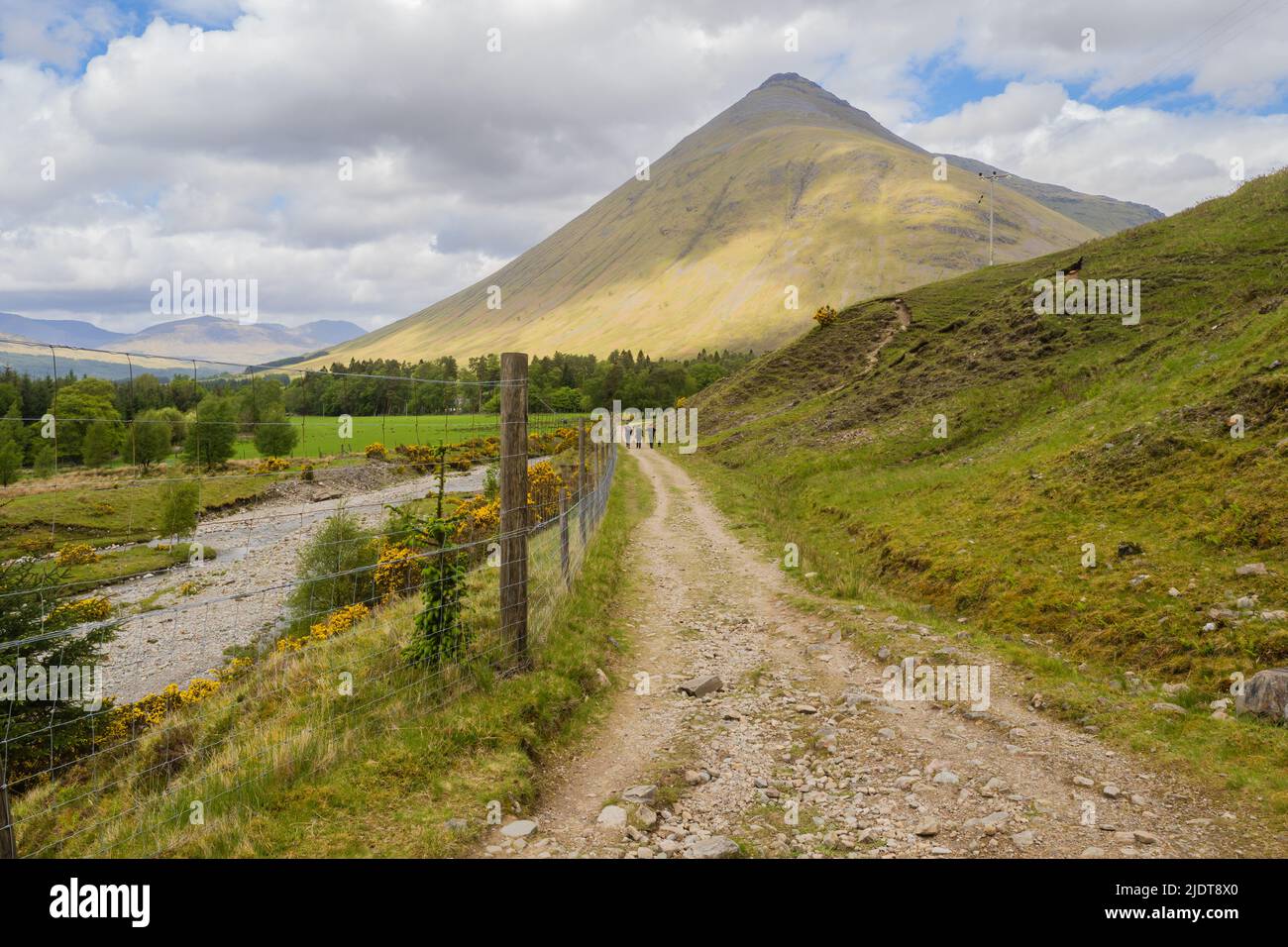 The West Highland Way is a linear long distance footpath in Scotland, with the official status of Long Distance Route. It is 96.0 miles long. Stock Photo