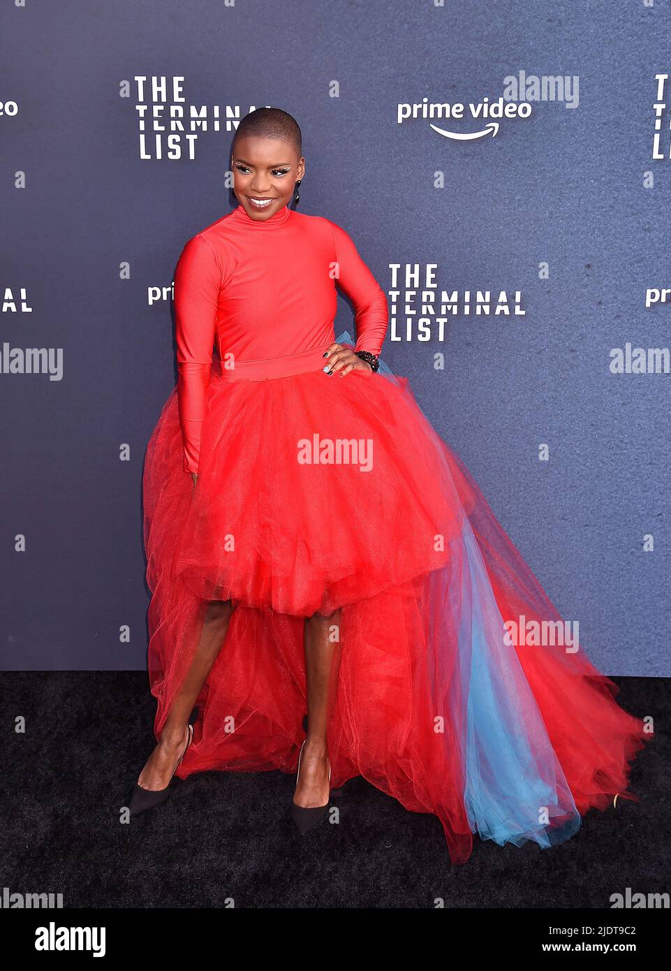 LOS ANGELES, CA - JUNE 22: Alexis Louder attends "The Terminal List" Los Angeles premiere at DGA