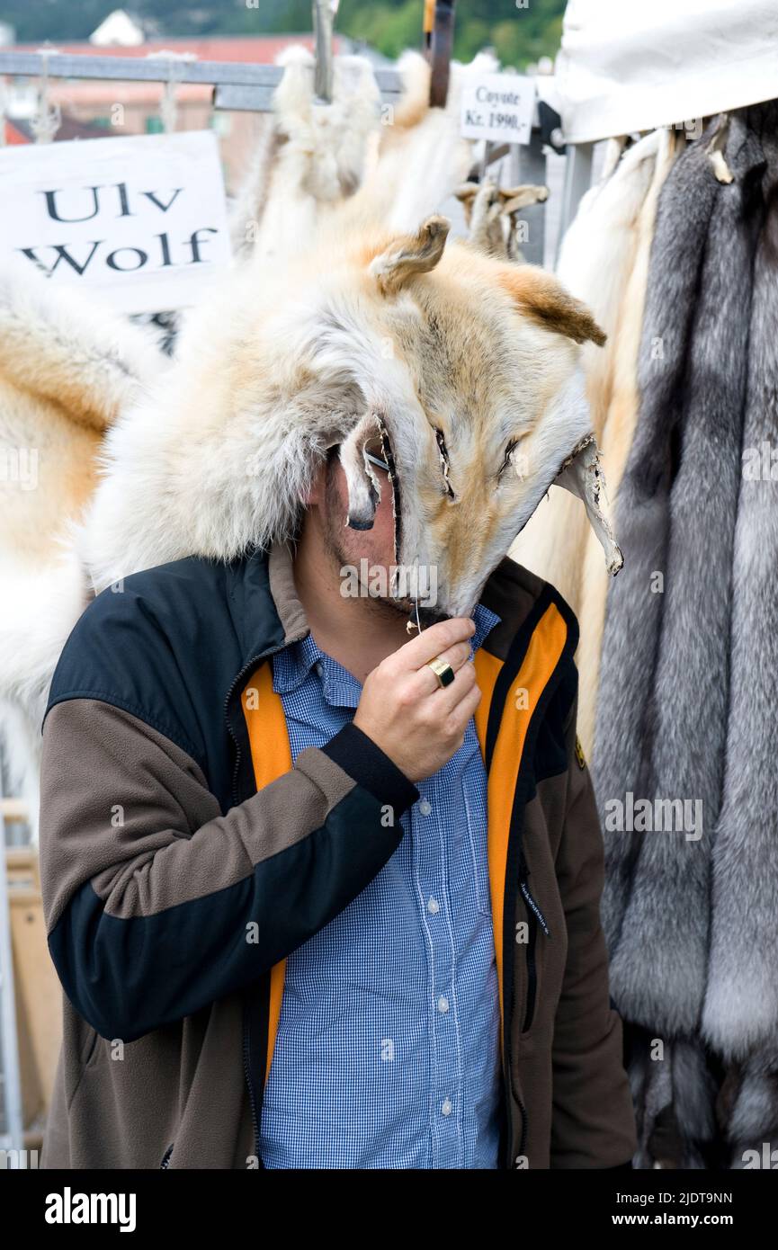 Wolf skin hi-res stock photography and images - Alamy