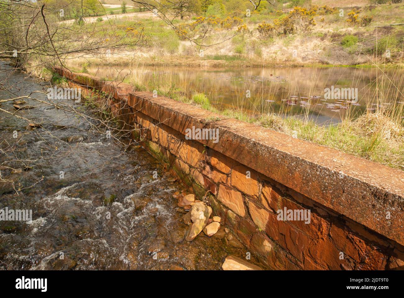 acid-coal-mine-water-treatment-lagoon-discharging-into-river-pelenna