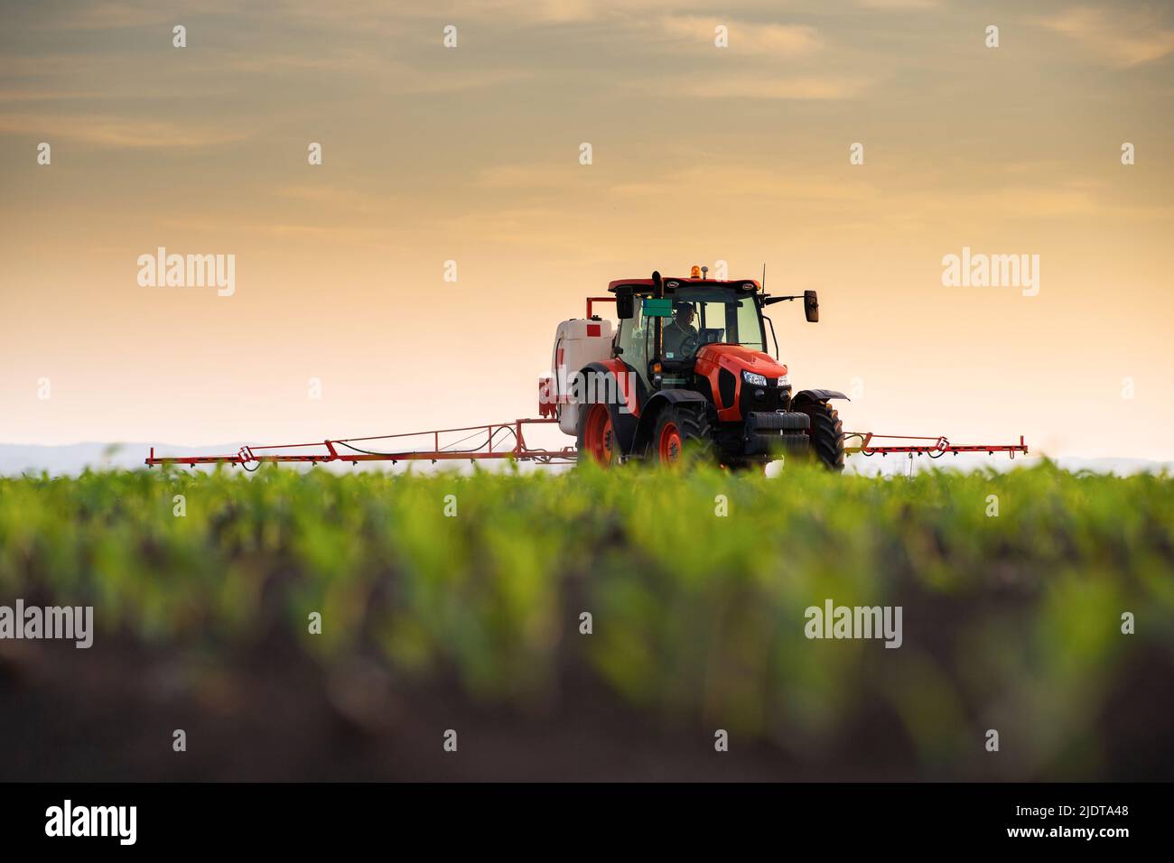 Tractor spraying pesticides on corn field  with sprayer at spring Stock Photo