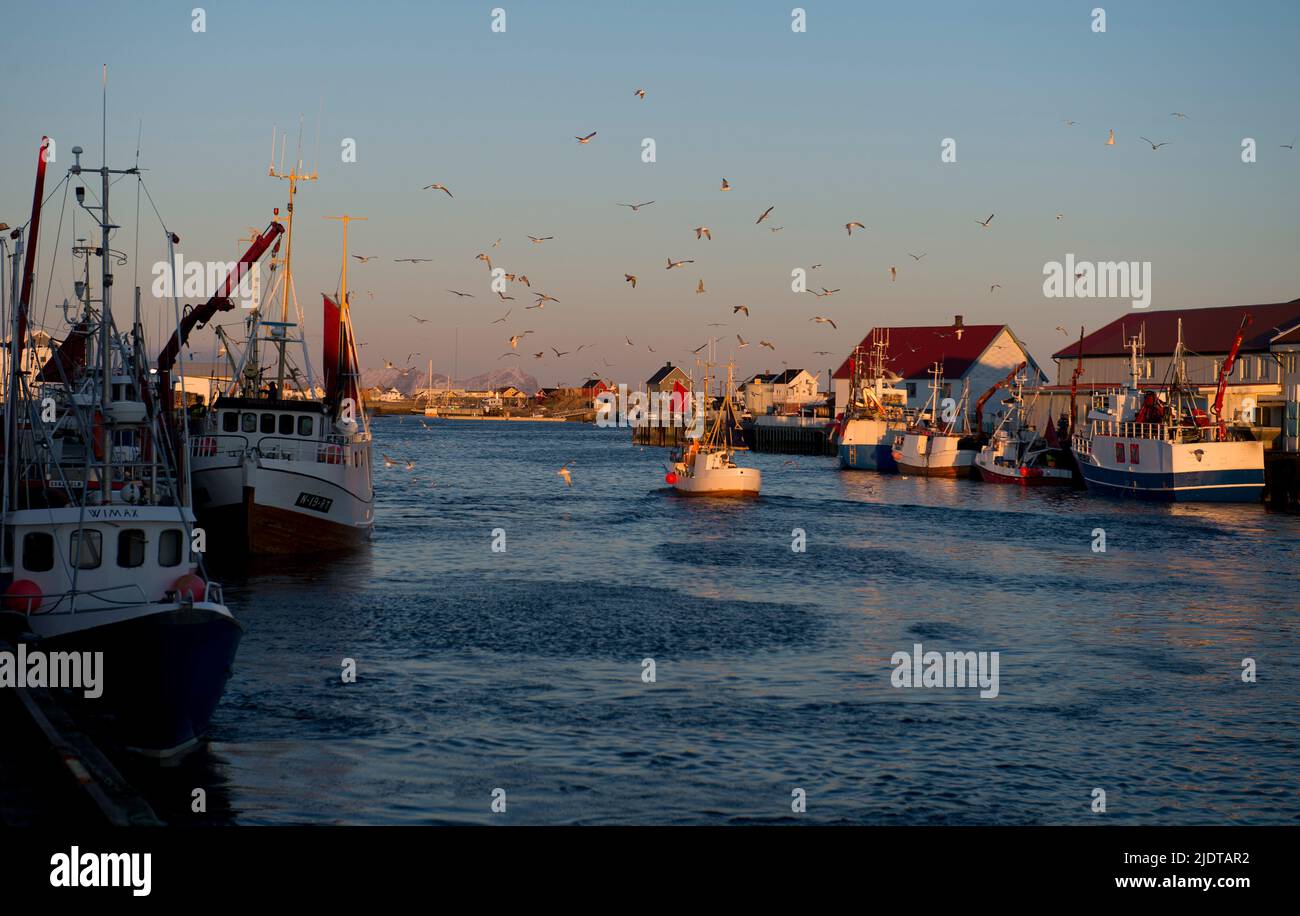 Fishing boats returning with today's catch at the island of Röst ...