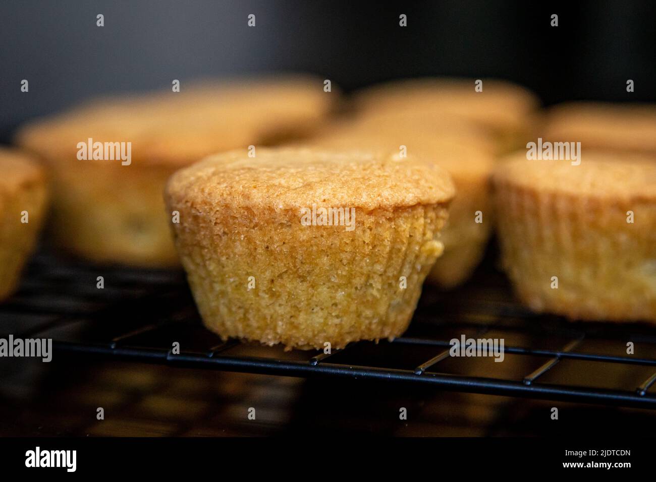 Sponge Cake Rack Sponge cakes on a cooling rack Stock Photo - Alamy