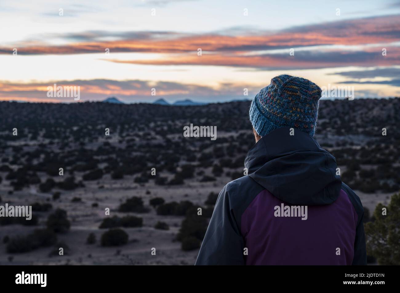 USA, New Mexico, Lamy, Rear view of woman in desert landscape at sunset in Galisteo Basin Preserve Stock Photo