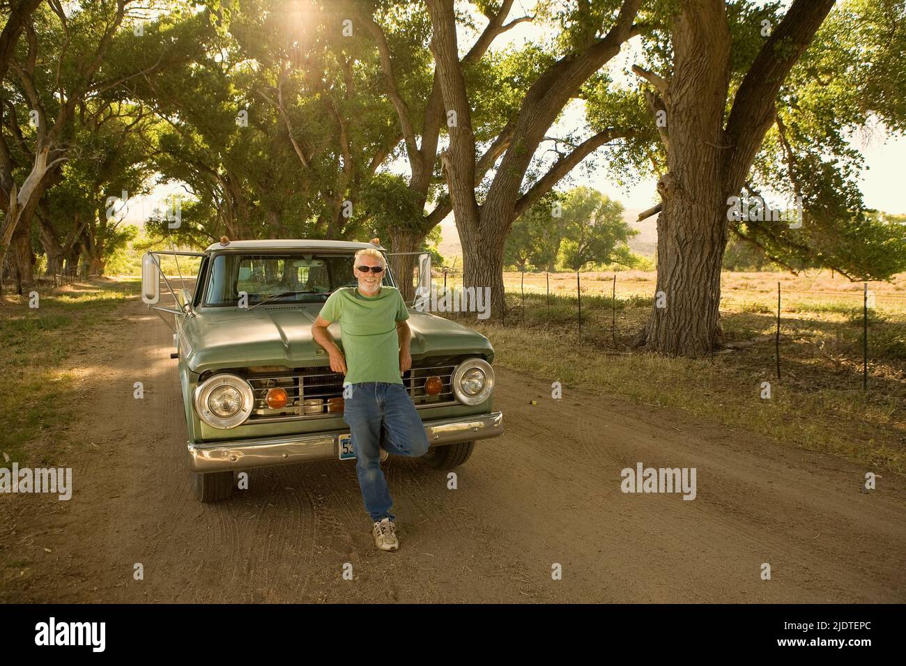 Blonde man ( aged 40-60) with beard leaning on a vintage pick up truck parked in a rural area with cottonwood trees(populus fremontii) and pasture Stock Photo