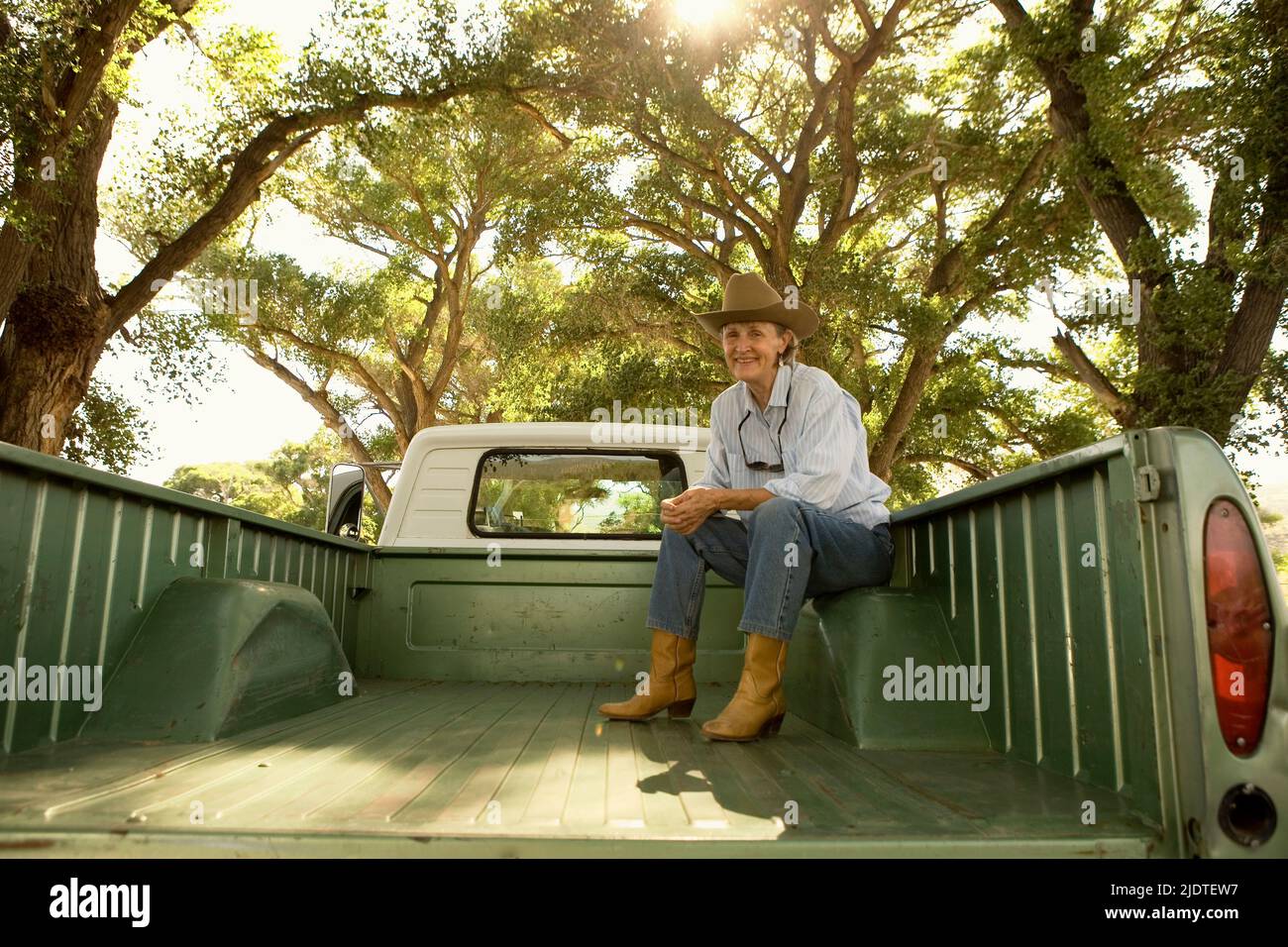 Woman ( aged 45-65) wearing cowboy hat sitting on bed of a vintage pick up truck parked on ranch road lined with aged cottonwood trees( Populus Fremon Stock Photo