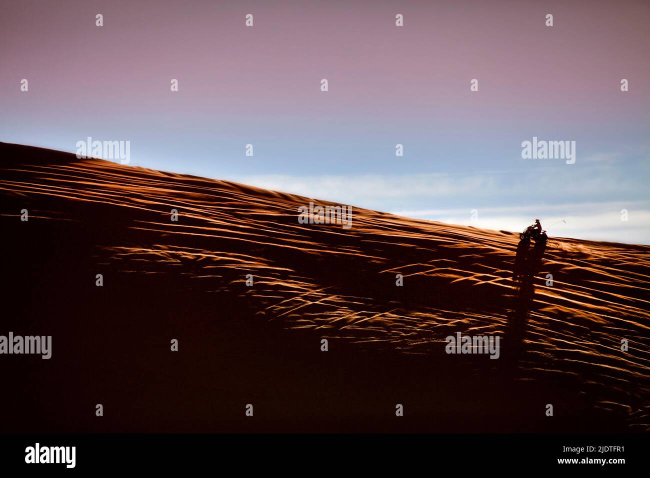 Riding an ATV on the crest of a sand dune at sunset. The dunes at Dumont Dunes Off-Highway Vehicle Area, near Death Valley, are criss-crossed with tir Stock Photo
