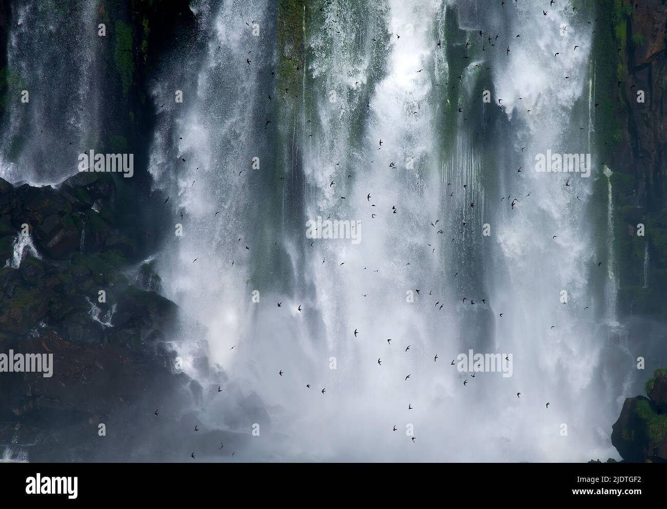 Fosseseiler hi-res stock photography and images - Alamy