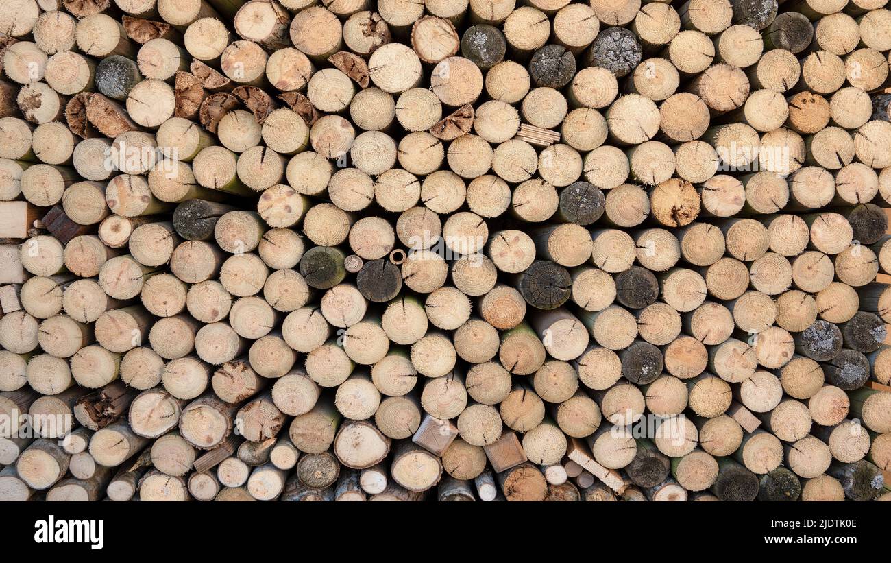 Round timber stack in close-up Stock Photo
