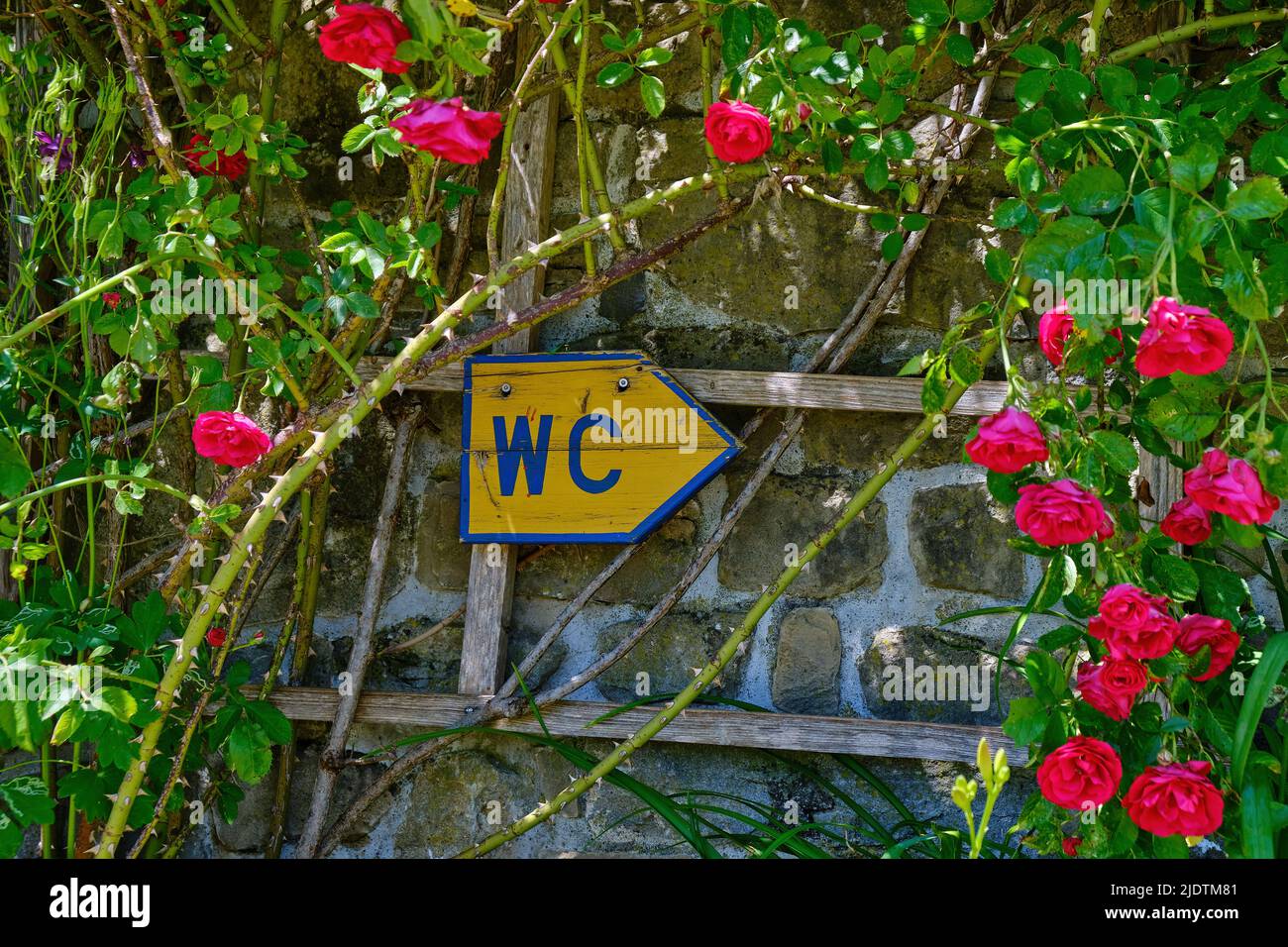 WC sign in the colours of Ukraine, on the castle tower of Sulzberg Castle ruins in the Allgäu region near Kempten, Bavaria, Germany. Stock Photo