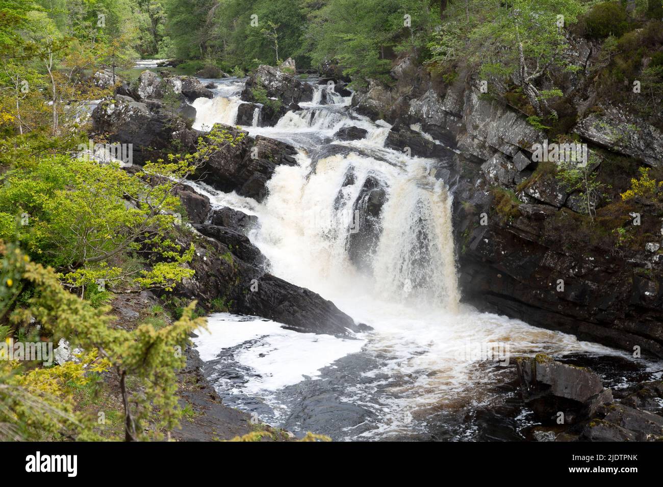 Rogie Falls (Gaelic: Eas Rothagaidh), waterfalls on the Black Water, river in Ross-shire in the Highlands of Scotland. Stock Photo