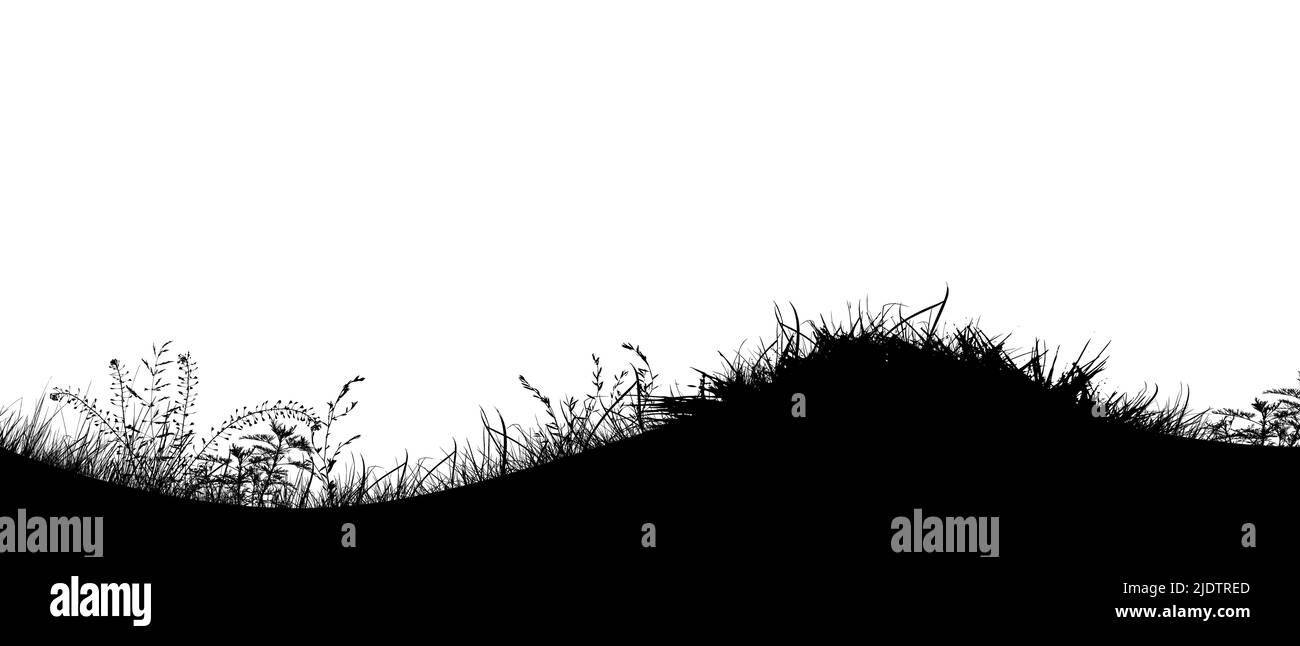 Wet grass field Black and White Stock Photos & Images - Alamy