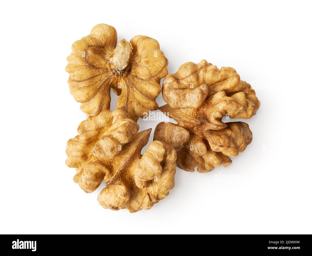 Group of fresh peeled walnuts, isolated on white background Stock Photo