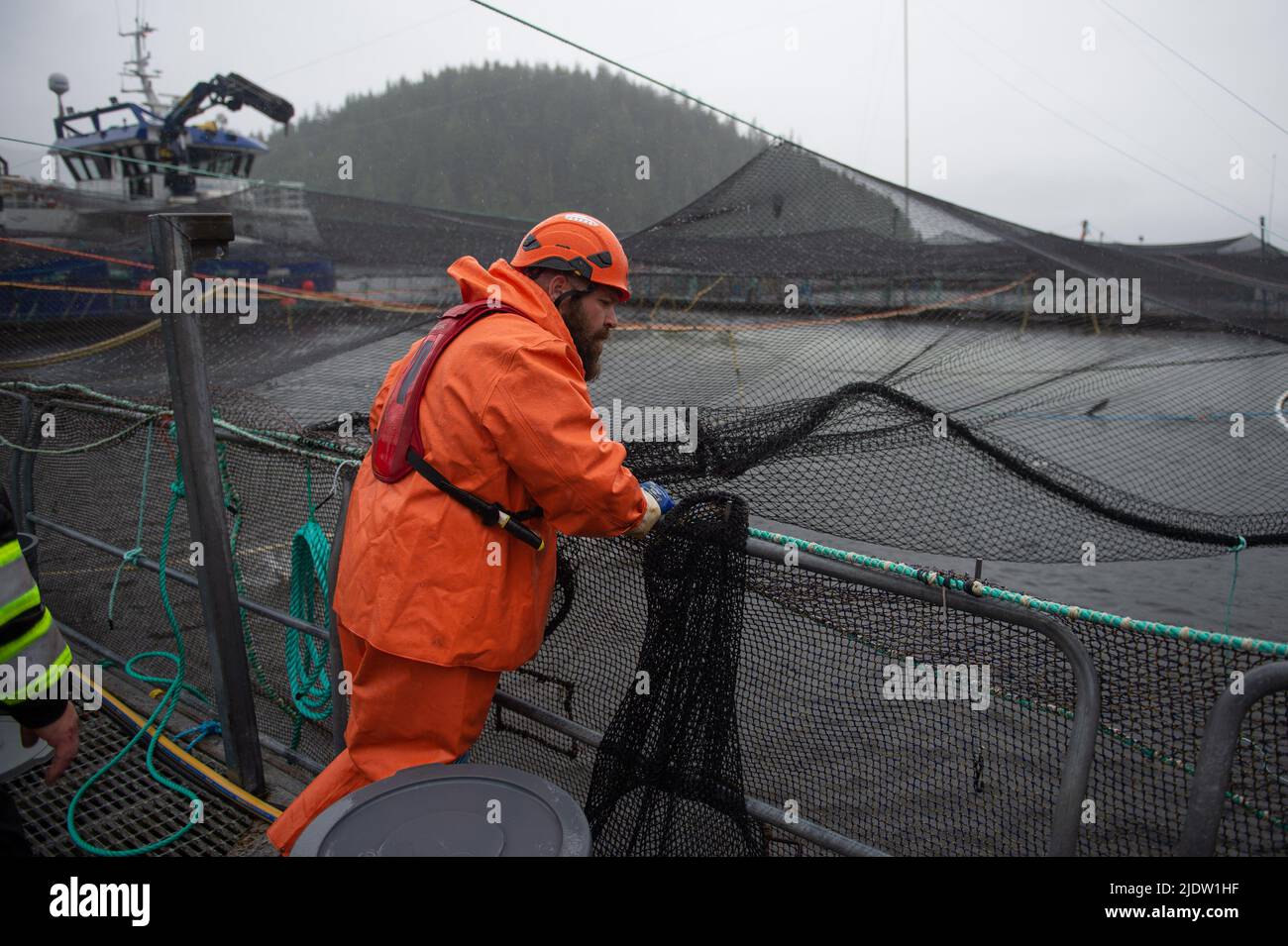 Vancouver, British Columbia, Canada. 21st June, 2022. An employlee at one of Mowi Canada's salmon farms near Port McNeill, B.C. stands over an open-net pen June 21. The industry is awaiting a Government of Canada decision on whether to renew licenses on the province's 79 remaining open net-pen salmon farms over concerns of their impact on threatened wild salmon populations. The B.C. Salmon Farmers Association says the closure of the industry will eliminate thousands of jobs. (Credit Image: © Quinn Bender/ZUMA Press Wire) Stock Photo