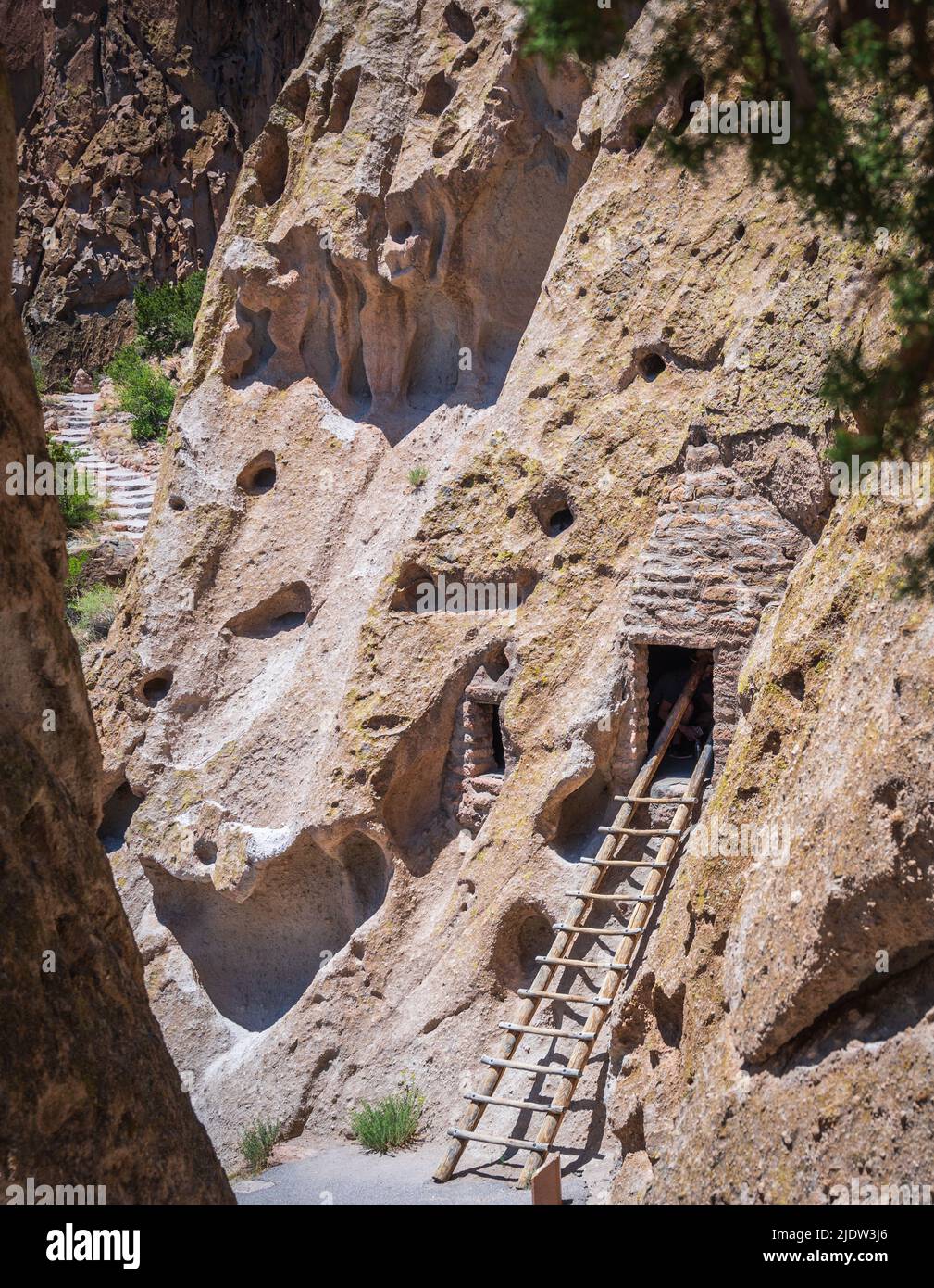 Bandelier National Monument, on the Pueblo Loop Trail visitors may access cavates that have ladders, New Mexico, USA. Stock Photo