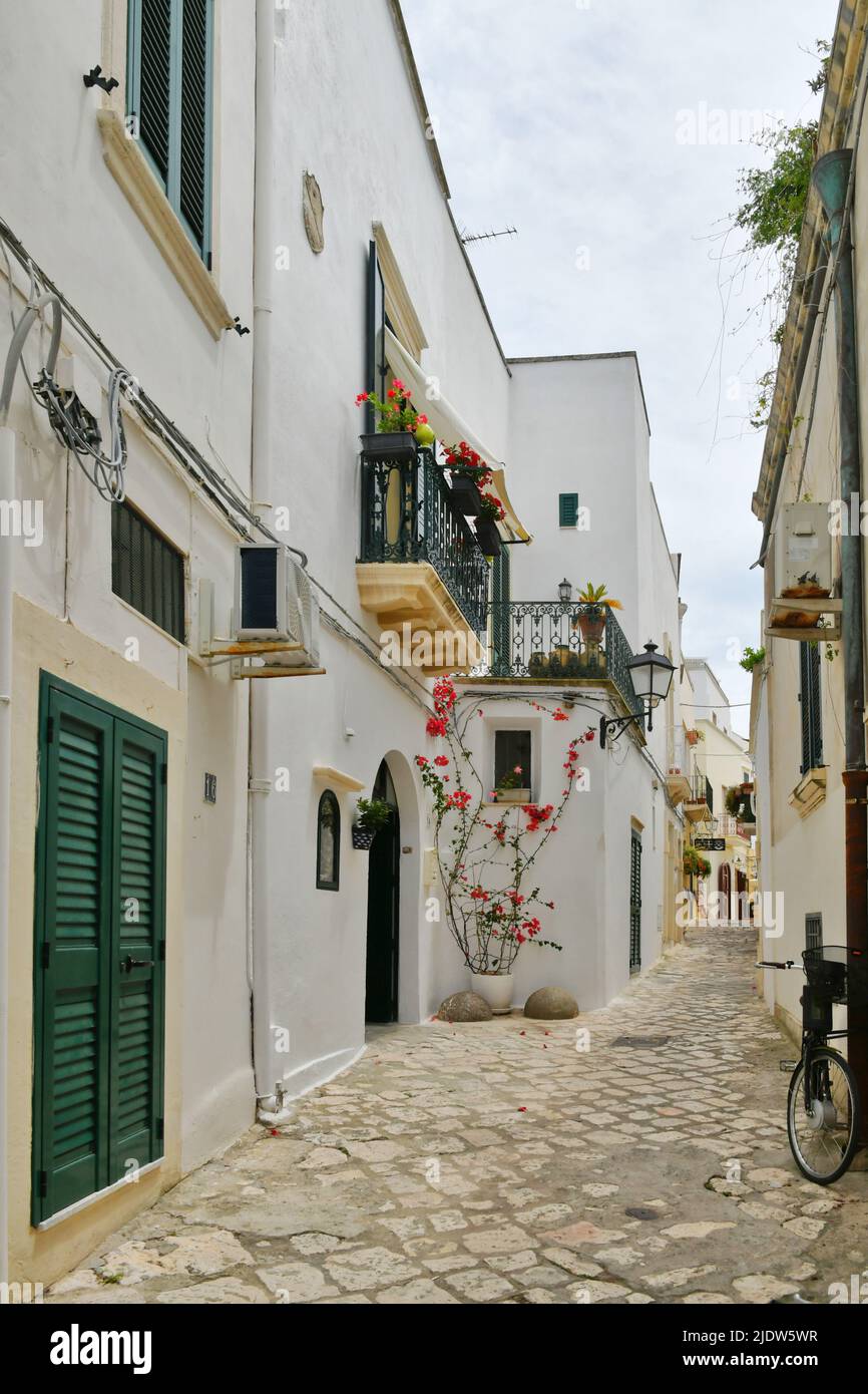 A narrow street among the old houses in the historic center of Otranto