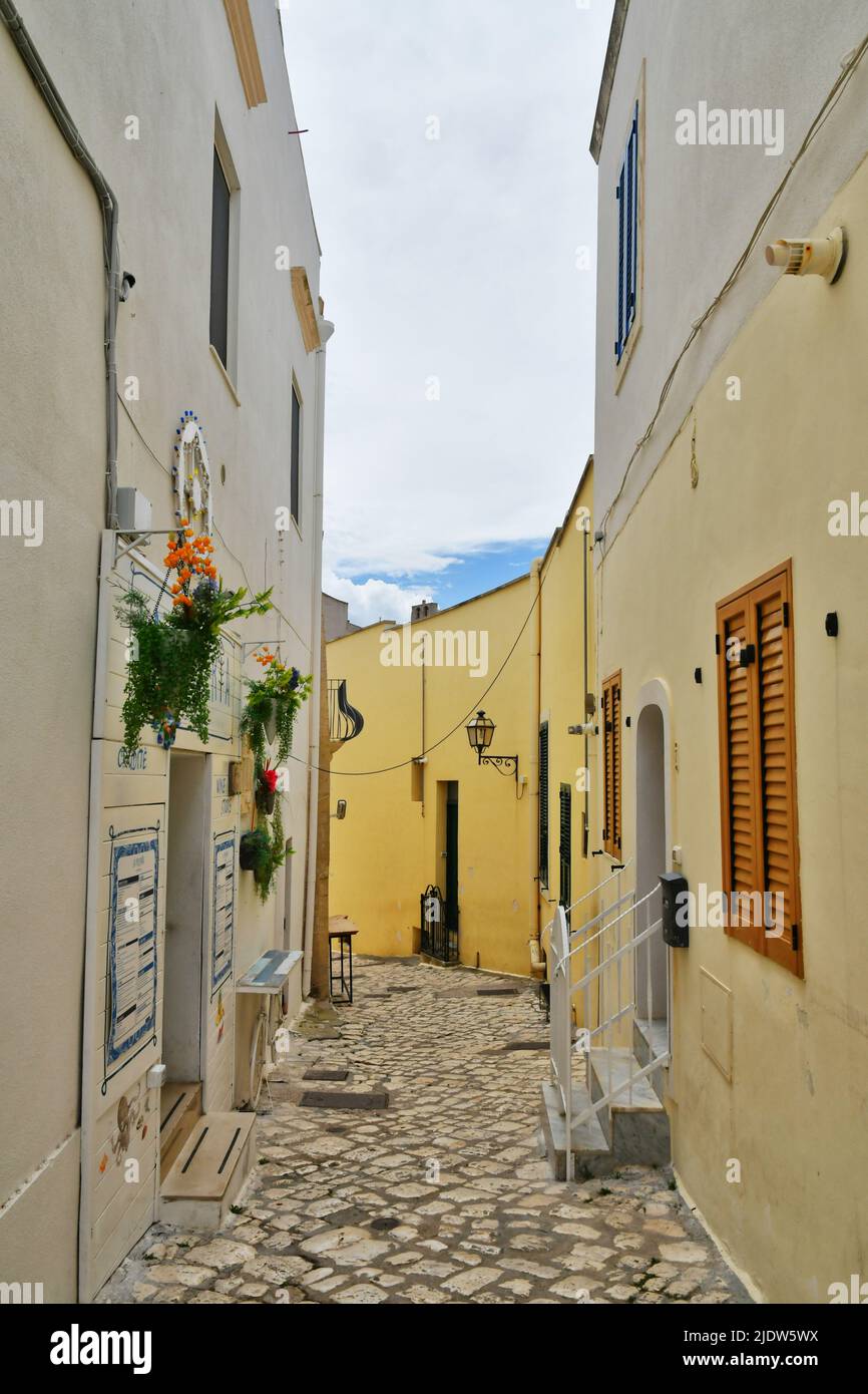 A narrow street among the old houses in the historic center of Otranto