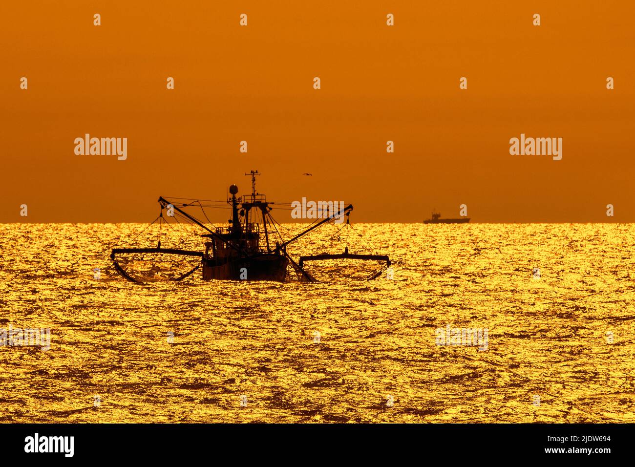 Bottom trawler, fishing boat sailing along the North Sea coast silhouetted against orange sunset in front of Nieuwpoort / Nieuport, Flanders, Belgium Stock Photo