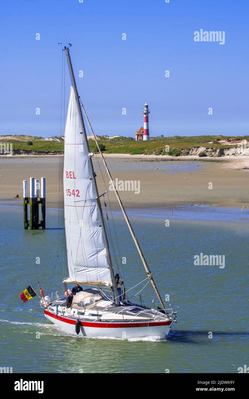 Sailing boat entering the port of Nieuwport / Nieuport harbour and passing the lighthouse and nature reserve De IJzermonding, West Flanders, Belgium Stock Photo