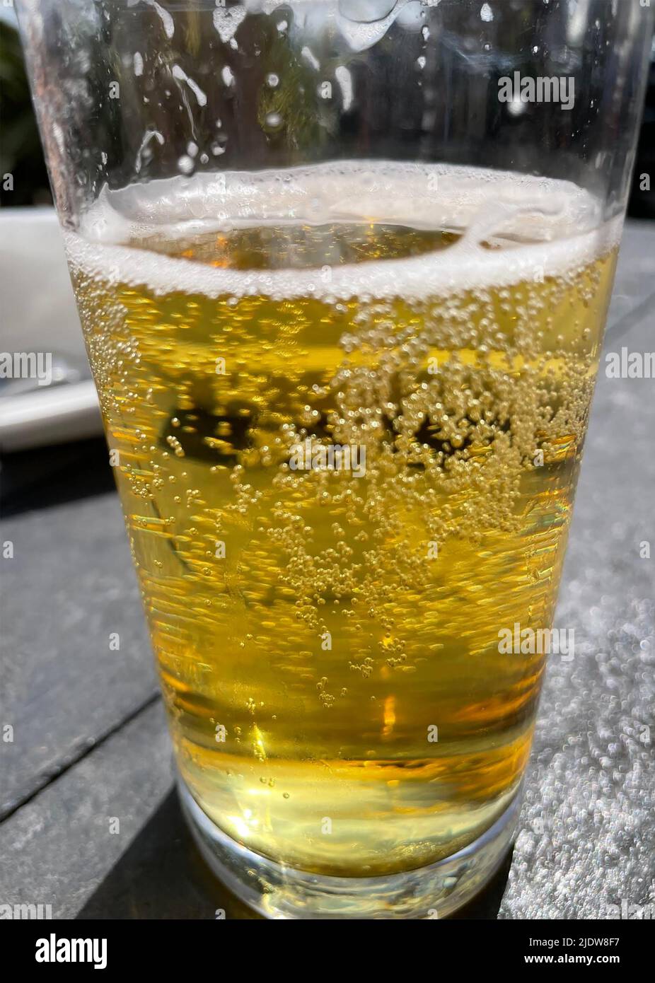 GLASS OF BEER. Photo: Tony Gale Stock Photo