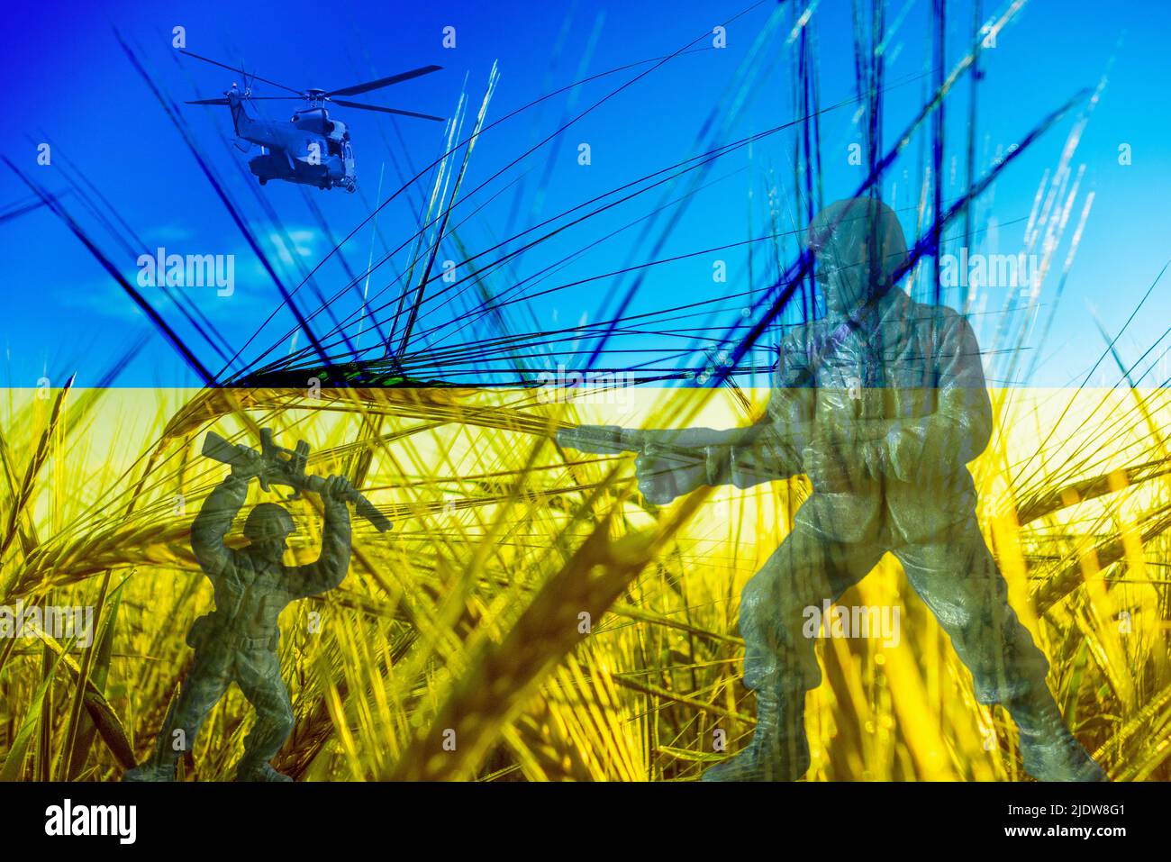 Flag of Ukraine wheat field, soldiers, composite. Concept image: Ukraine Russia conflict, war, wheat, world food shortage, Russian sanctions... Stock Photo