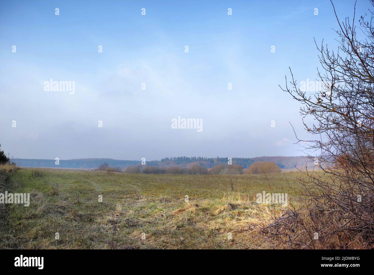 Landscape of an open farmland with dry grass, leafless trees and thorny bushes. Wild shrubs growing on an empty agricultural field at the end of Stock Photo