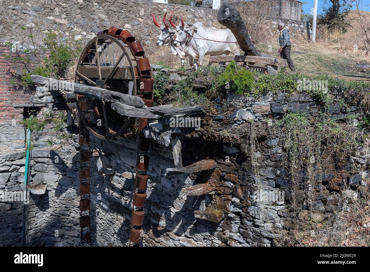 Old and traditional persian wather wheel (sakia) from Tarpal, Rajasthan, India. Stock Photo