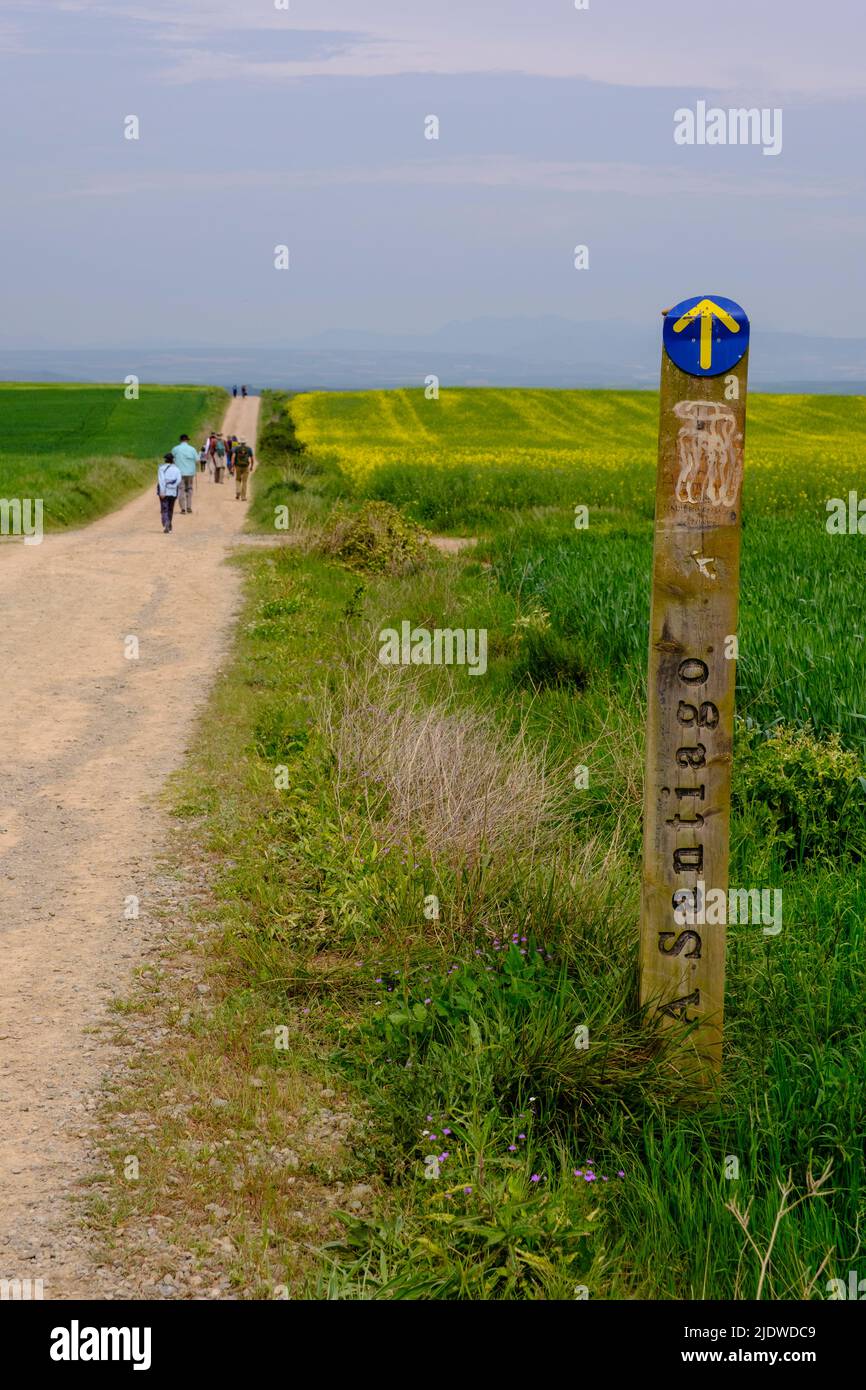Spain, Rioja District. Trail Marker on the Camino de Santiago approaching Santo Domingo de la Calzada. Stock Photo