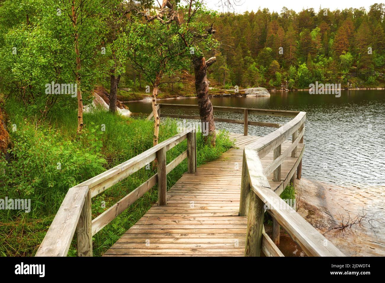 Wooden bridge beside a lake in a forest. Vibrant green wilderness landscape in Norway. Peaceful fishing spot on a cozy rural river with a wooden Stock Photo
