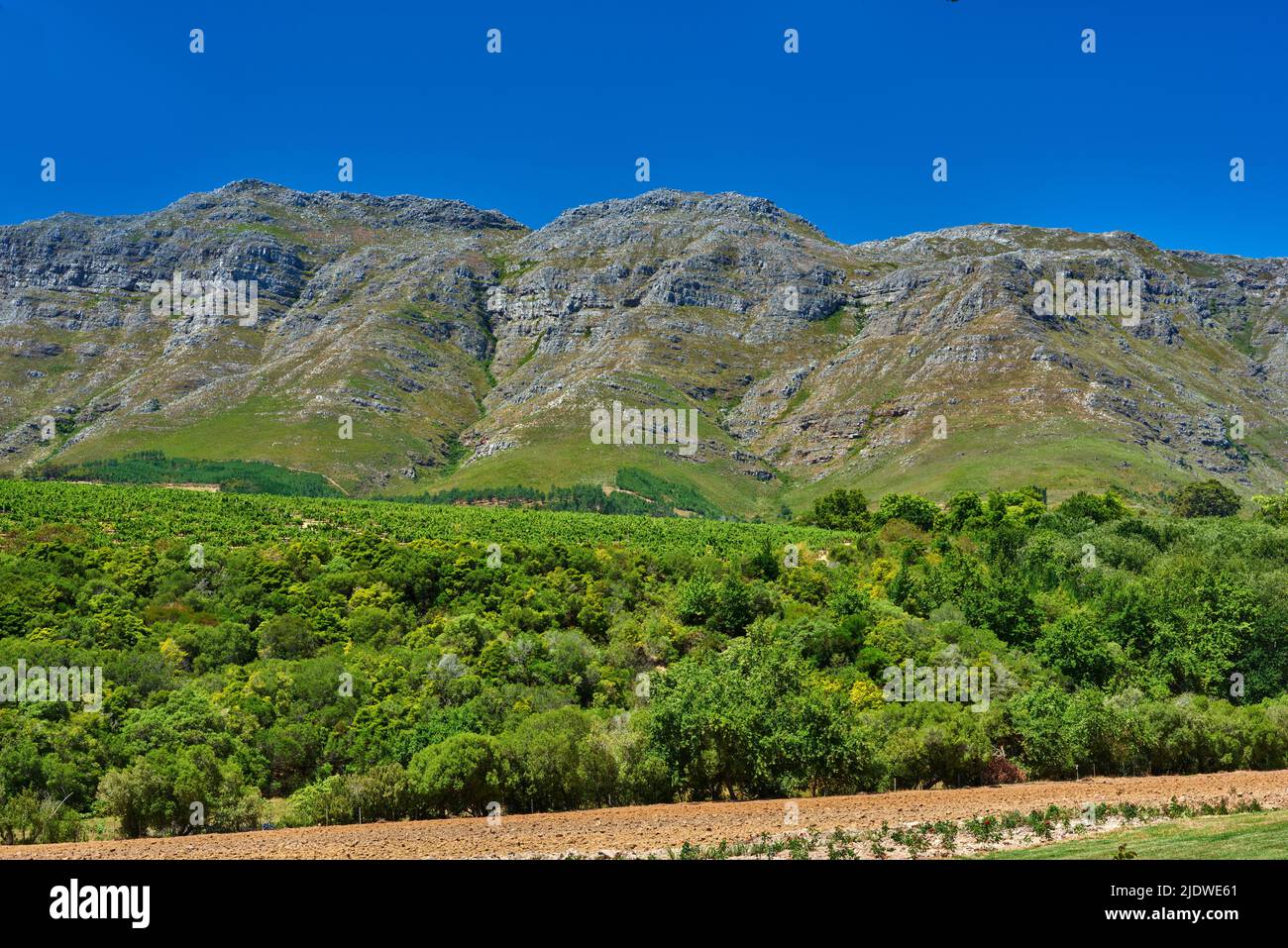 Mountain range with lush greenery near tilled farmland in the vineyards of Stellenbosch, South Africa. Vibrant green nature scene of bushes with a Stock Photo