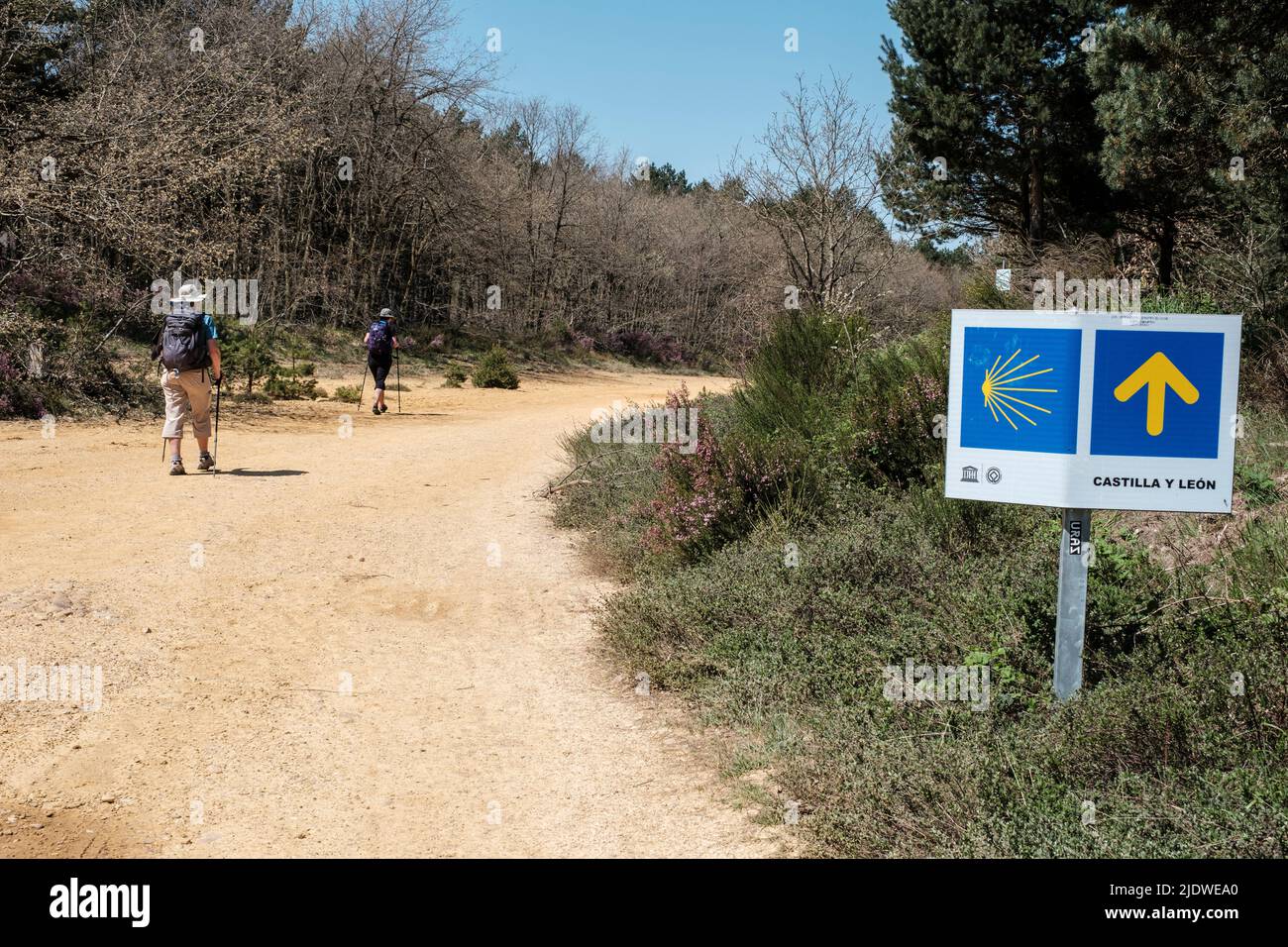 Spain, Camino de Santiago. Signs or Markers bearing Arrows and Scallop Shells Point the Way to the Camino. Stock Photo