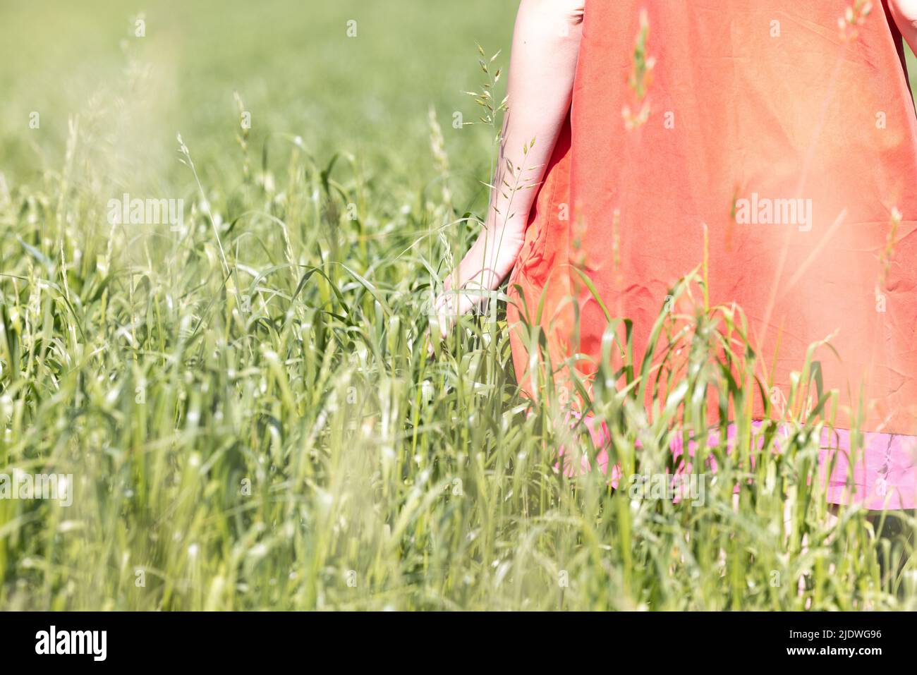 Person touching grass - Stock Image - F012/0423 - Science Photo Library