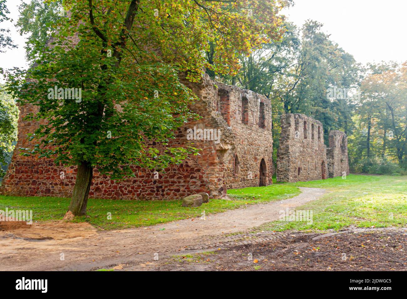 The ruins of the monastery church in Nimbschen, a former Cistercian abbey near Grimma in the Saxon district of Leipzig on the Mulde River in Germany. Stock Photo
