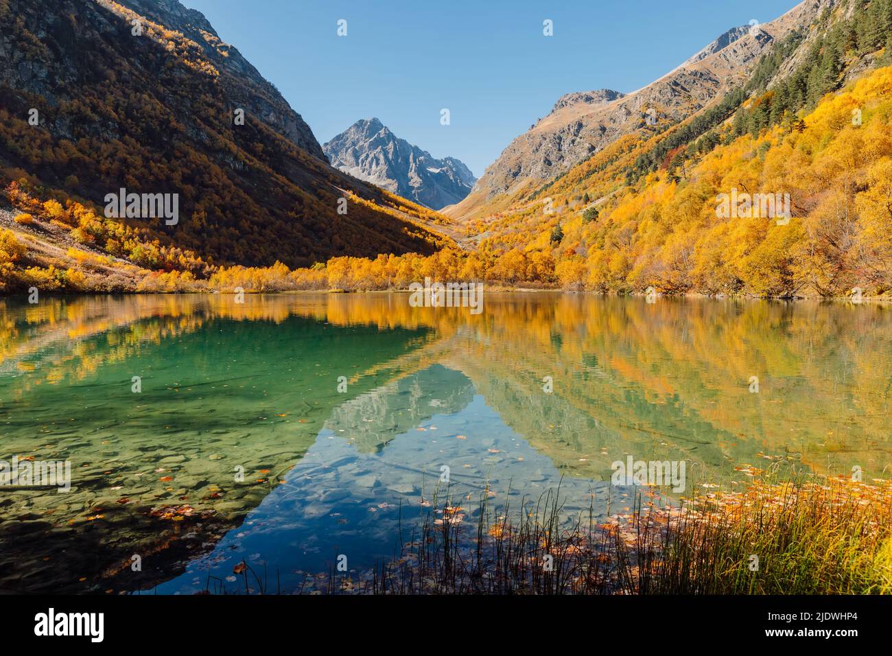 Transparent lake water hi-res stock photography and images - Alamy