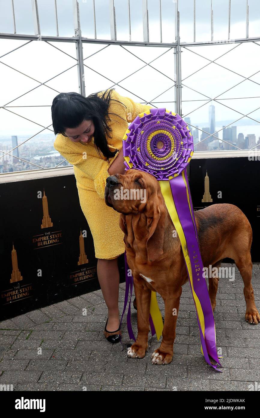 New York, NY, USA. 23rd June, 2022. Winner of Best in Show at the