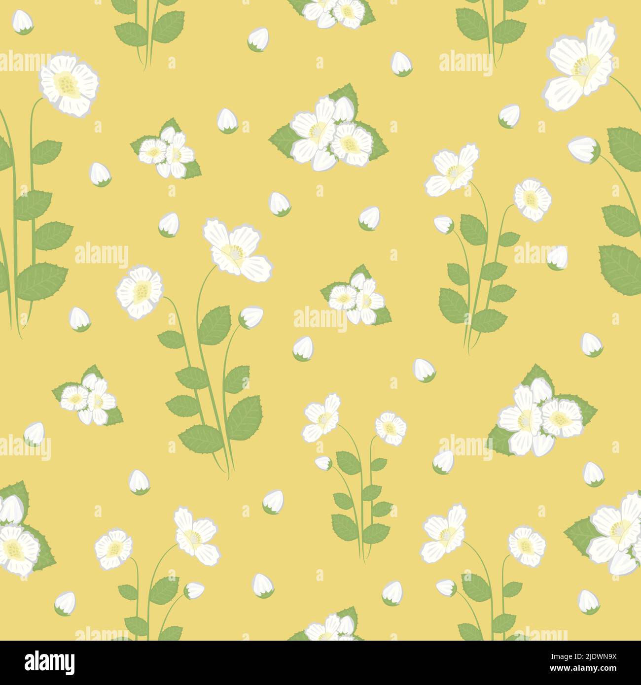 Jasmines with leaves, colorful seamless pattern Stock Vector