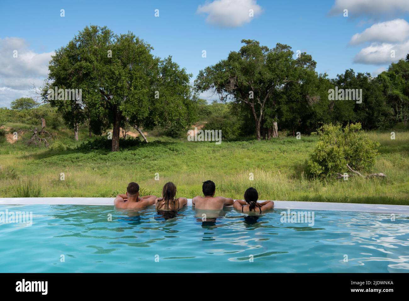 Guests in a swimming pool looking out onto the African bush Stock Photo