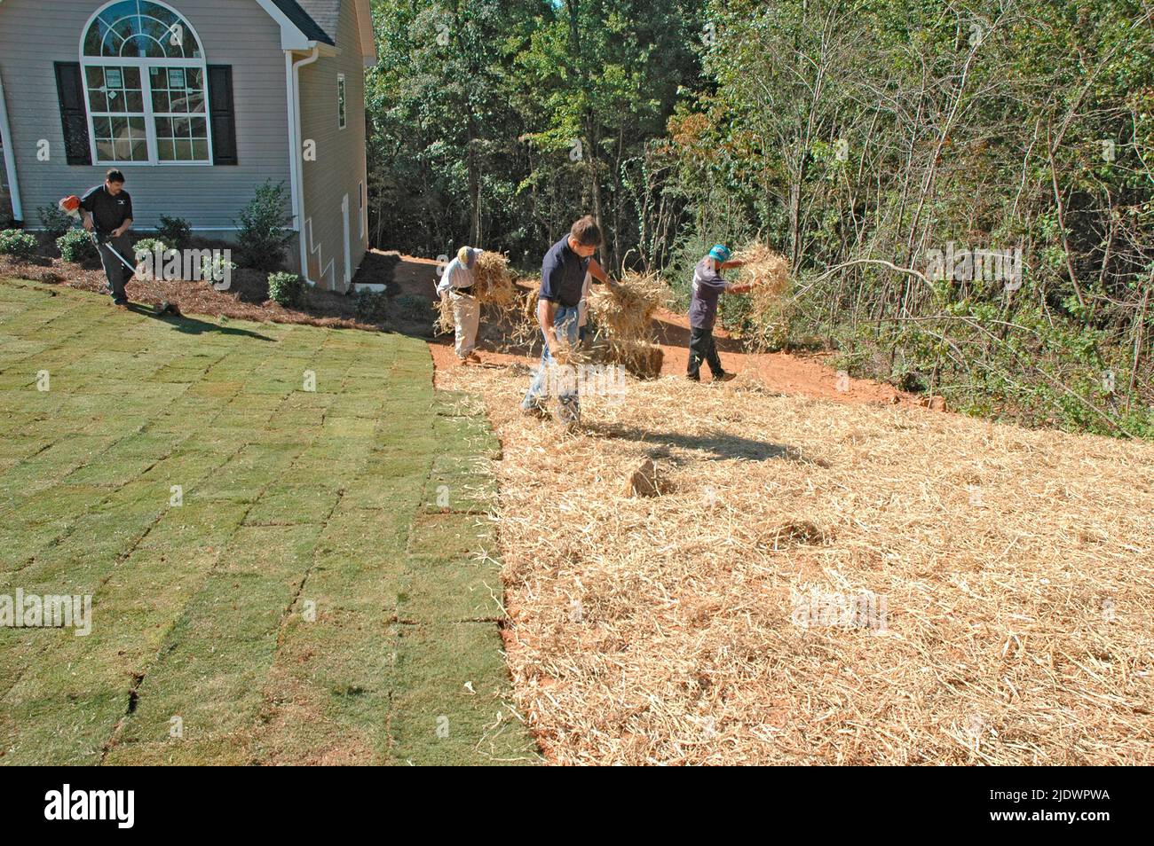 Seeding and mulching new home lawn construction for sale by latin crews Stock Photo