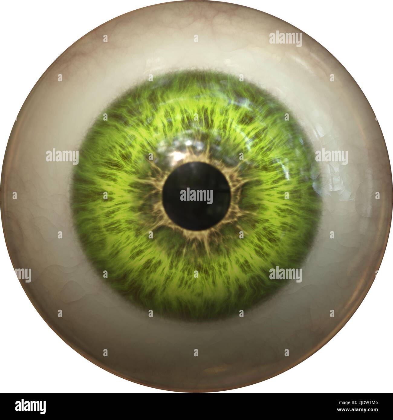 human eye iris Stock Photo Alamy