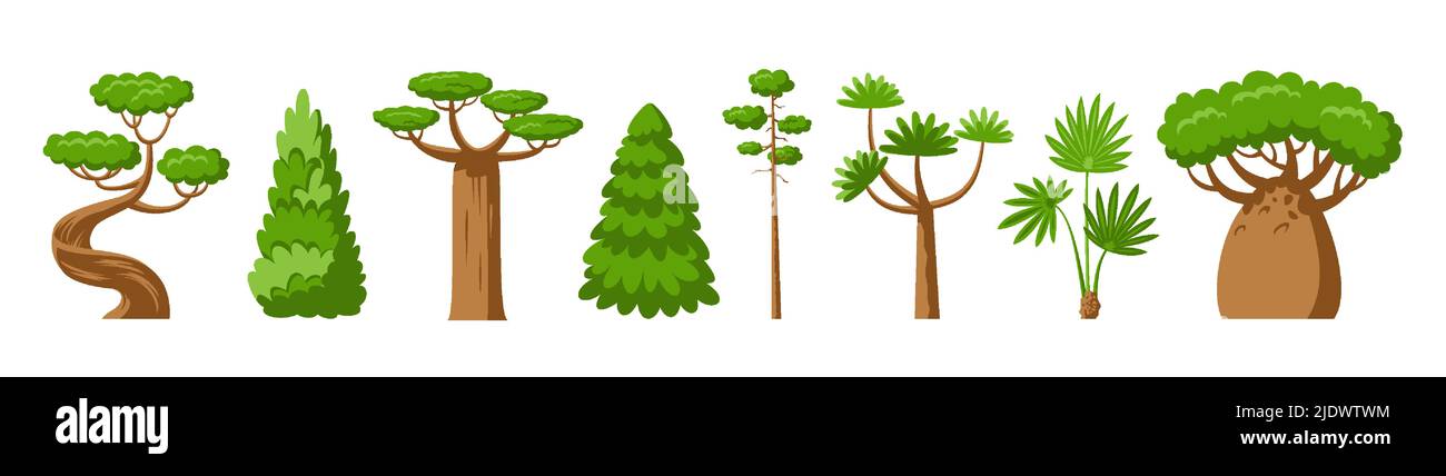 Green trees flat set. Baobab palm dracaena, sequoia pine fir, cypress spruce forest park plant sign Stock Vector