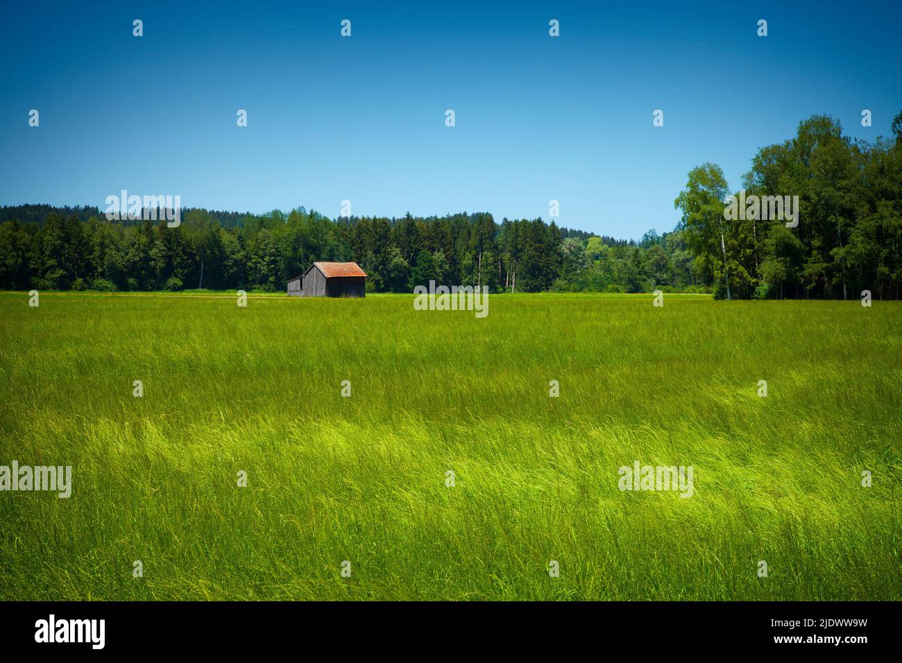 DE - BAVARIA: Moorland Scene at Bichl near Bad Toelz (Oberbayern) Stock Photo