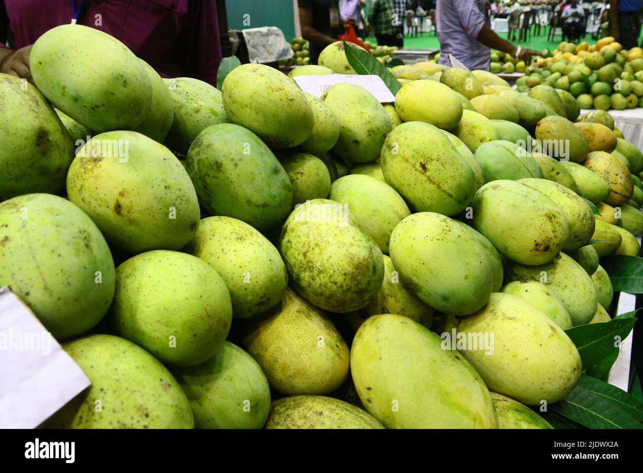 The Inaugural session of Bengal Mango Utsav 2022 has been graced by the