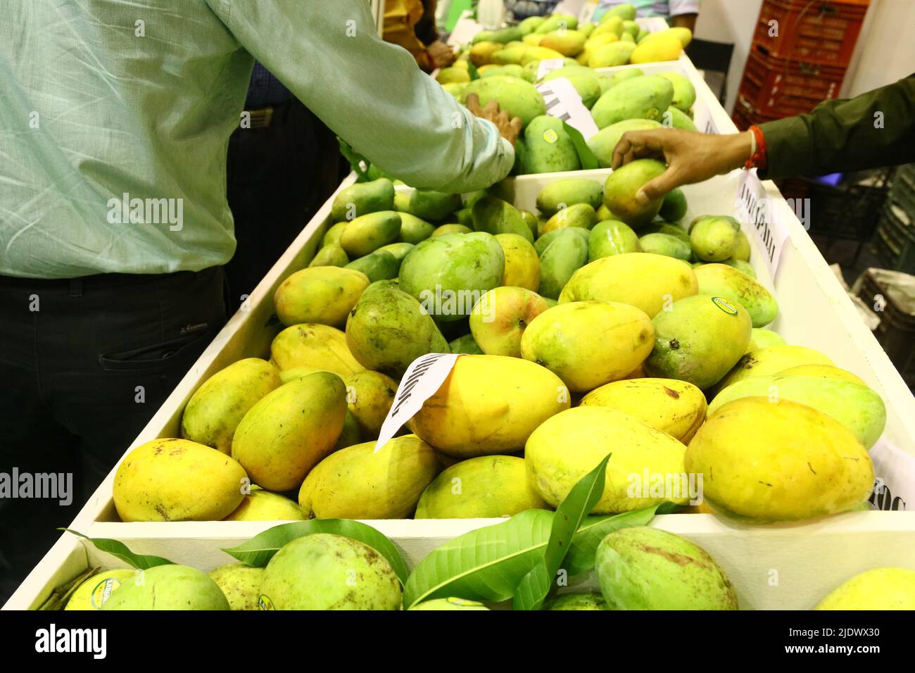 The Inaugural session of Bengal Mango Utsav 2022 has been graced by the