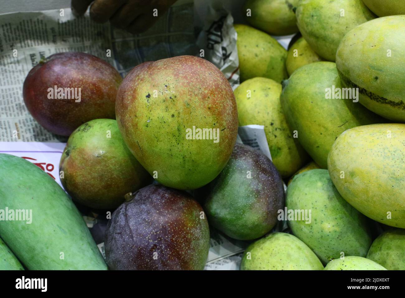 Kolkata, West Bengal, India. 23rd June, 2022. The Inaugural session of