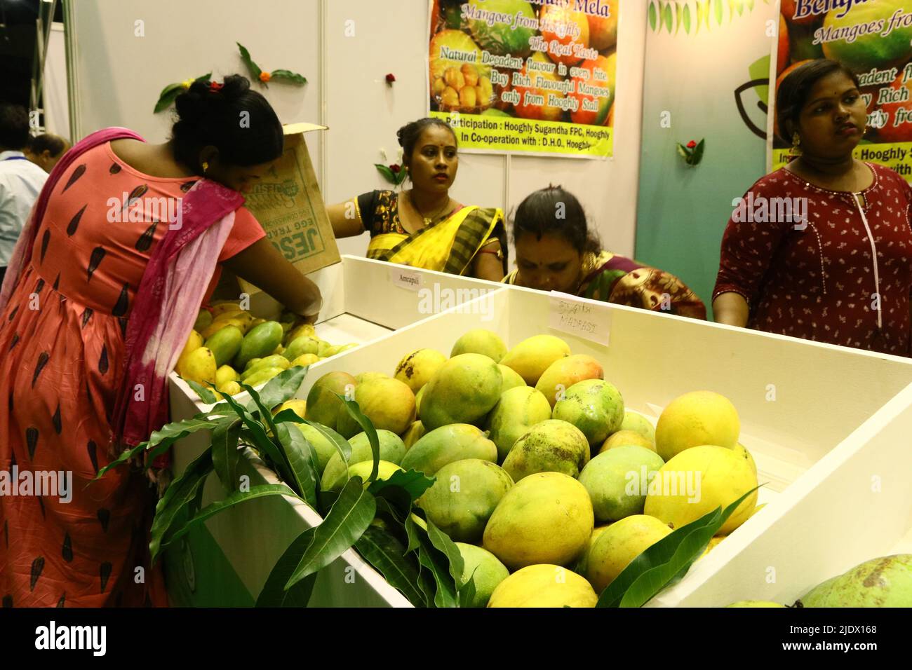 Food processing industries and horticulture hires stock photography