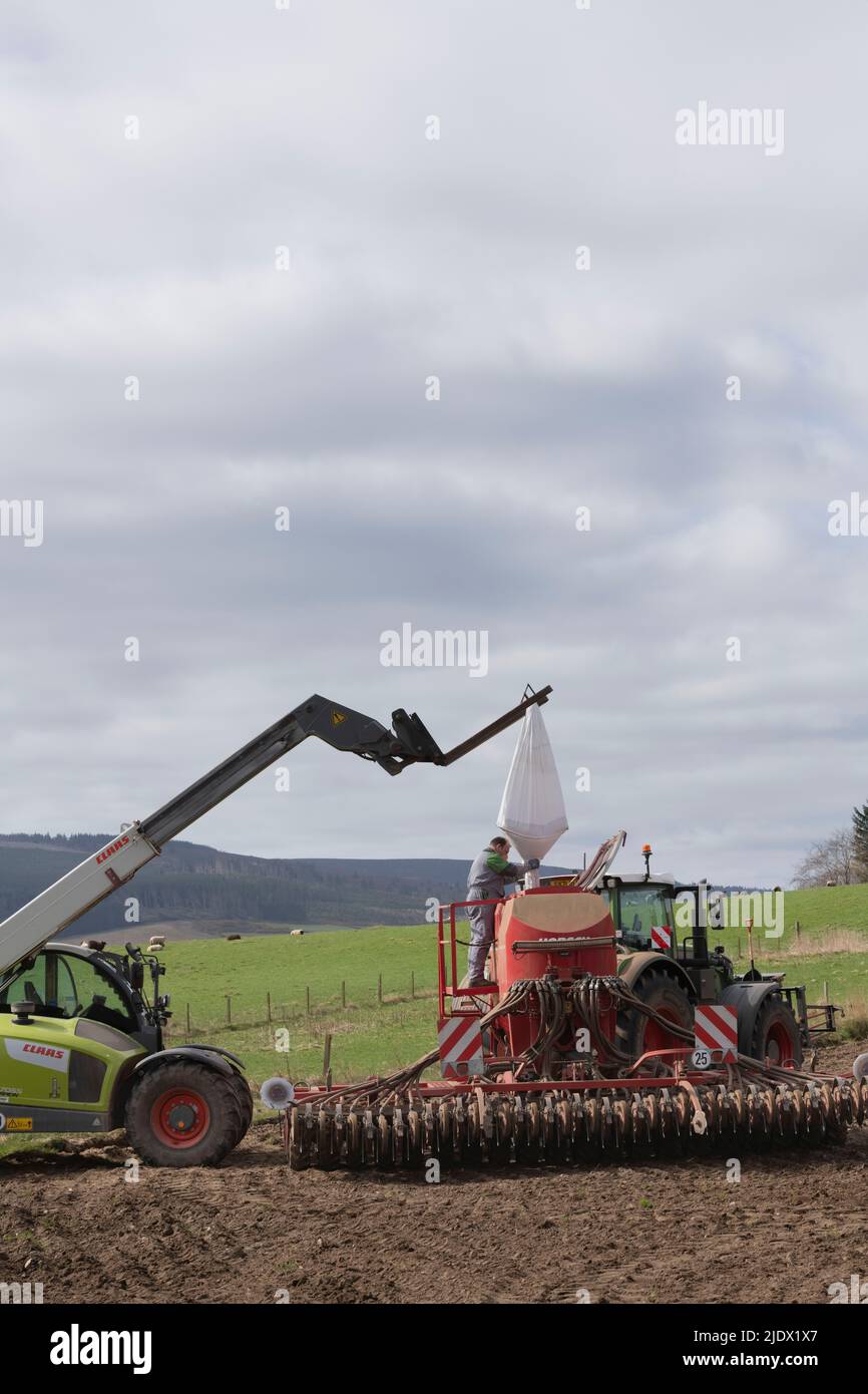 Cereal Seed From a Sack Suspended From a Telehandler is Emptied Into the Hopper of a Universal Seed Drill Ready for Sowing Stock Photo