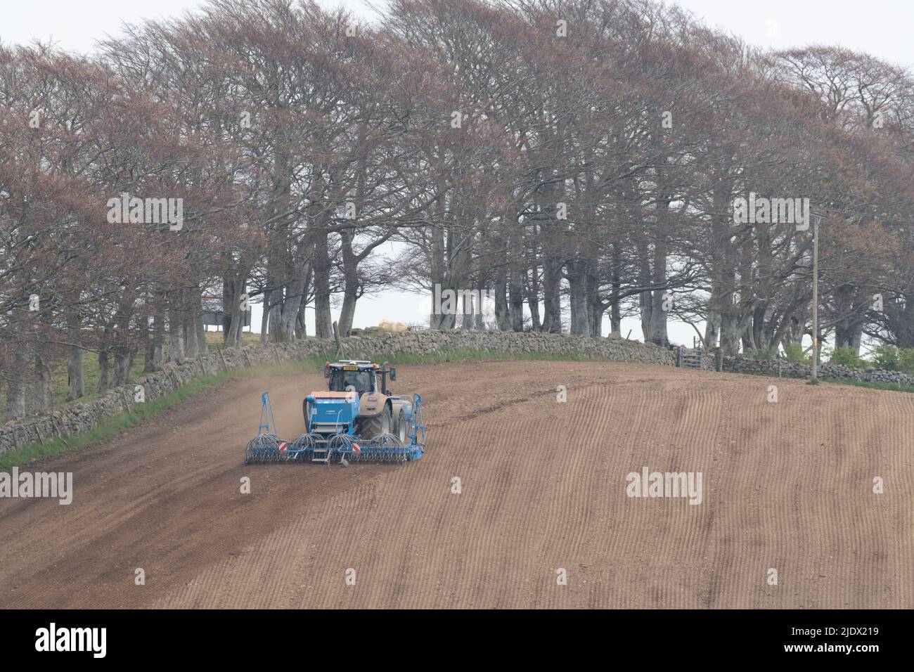 A Blue Tractor with a Lemken Solitair 9 Pneumatic Seed Drill Sowing in a Hillside Field on an Overcast Day Stock Photo