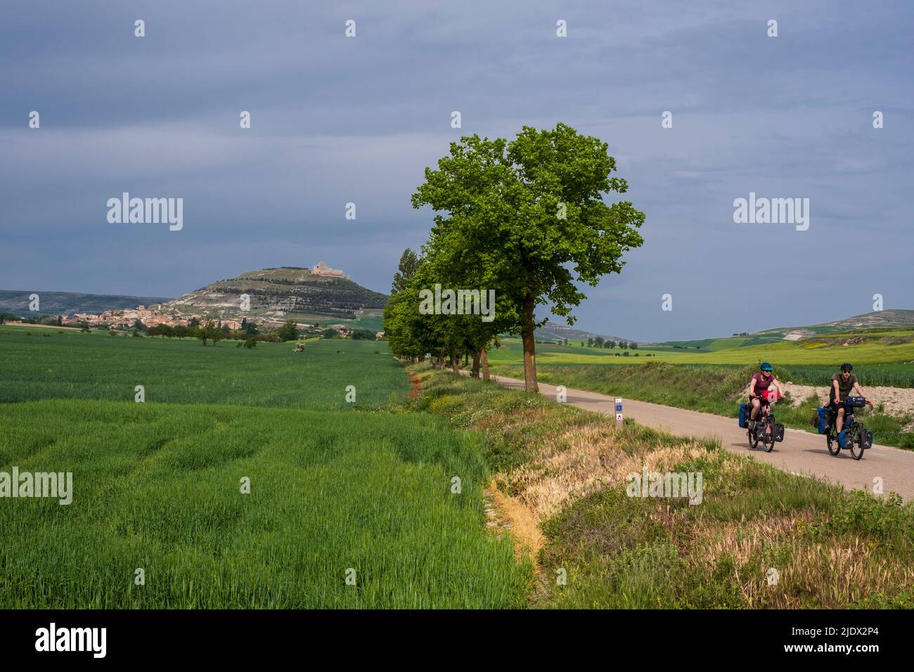 Spain, Castilla y Leon, Cyclists coming from Castrojeriz on the Camino de Santiago. Stock Photo