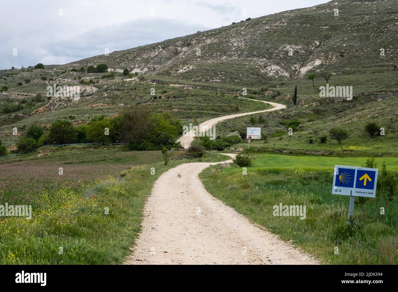 Spain, Leaving Castrojeriz en route to Fromista on the Camino de Santiago.. The Camino leads up the hill in the distance. Stock Photo