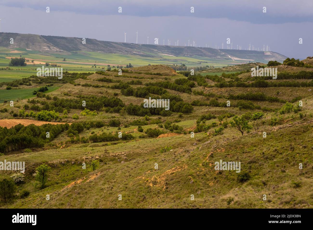 Spain, Castilla y Leon. Windmills Line a Ridge near Castrojeriz, as seen from the Camino de Santiago. Stock Photo